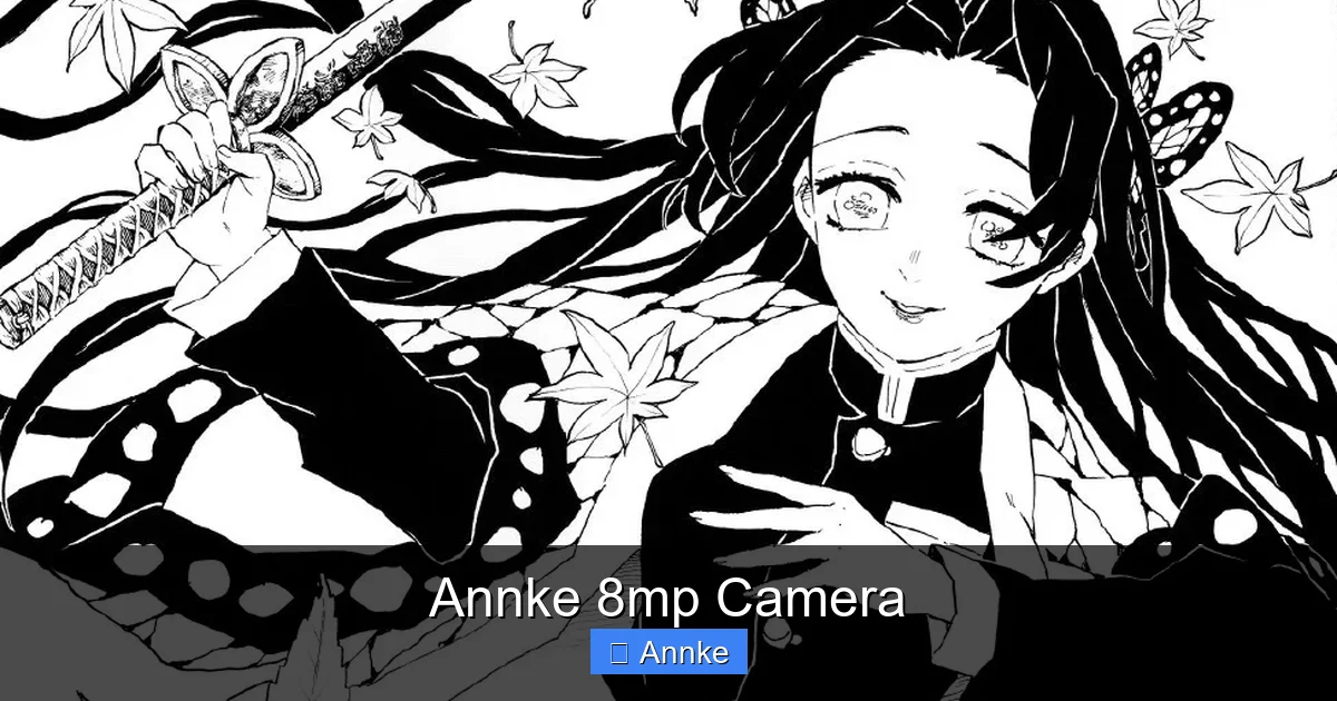 Annke 8mp Camera