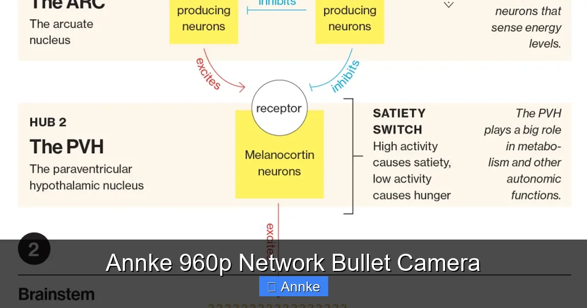 Annke 960p Network Bullet Camera