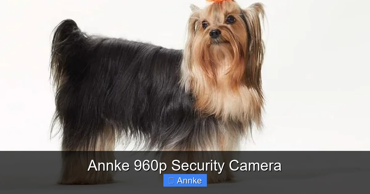 Annke 960p Security Camera