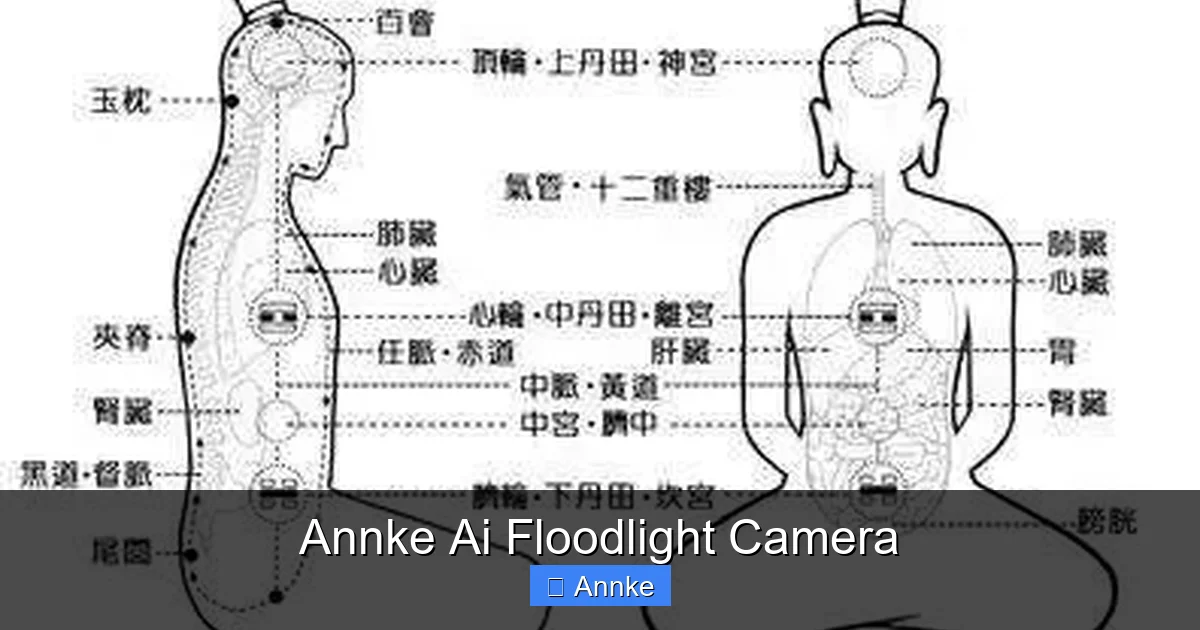 Annke Ai Floodlight Camera
