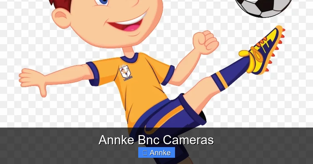 Annke Bnc Cameras