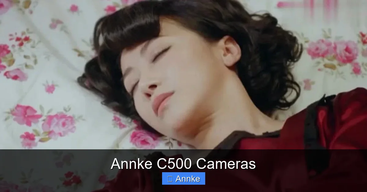 Annke C500 Cameras