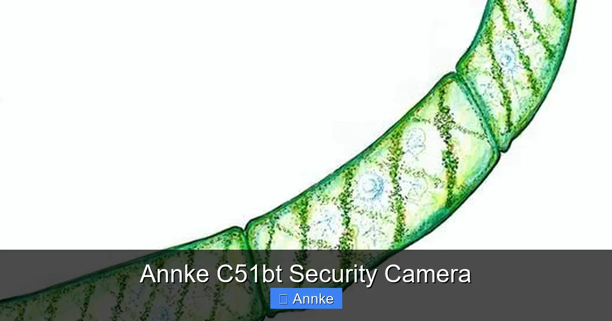Annke C51bt Security Camera