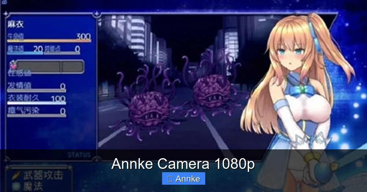 Annke Camera 1080p