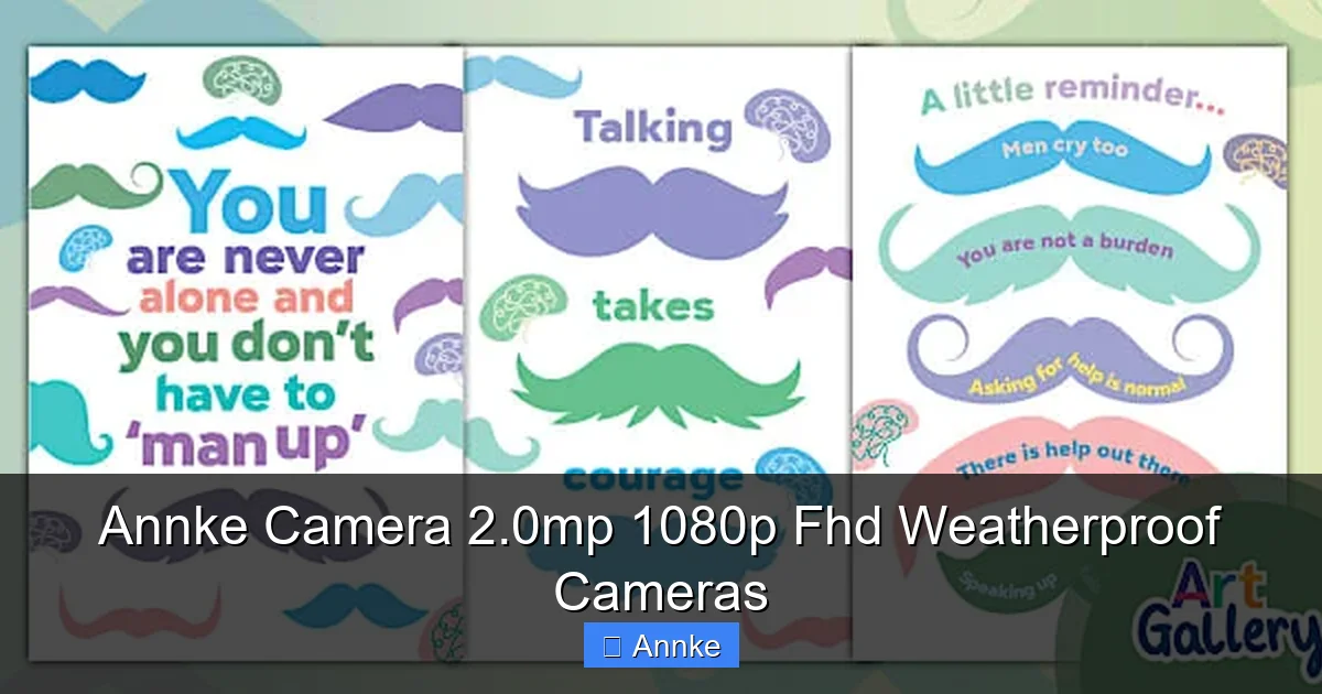 Annke Camera 2.0mp 1080p Fhd Weatherproof Cameras