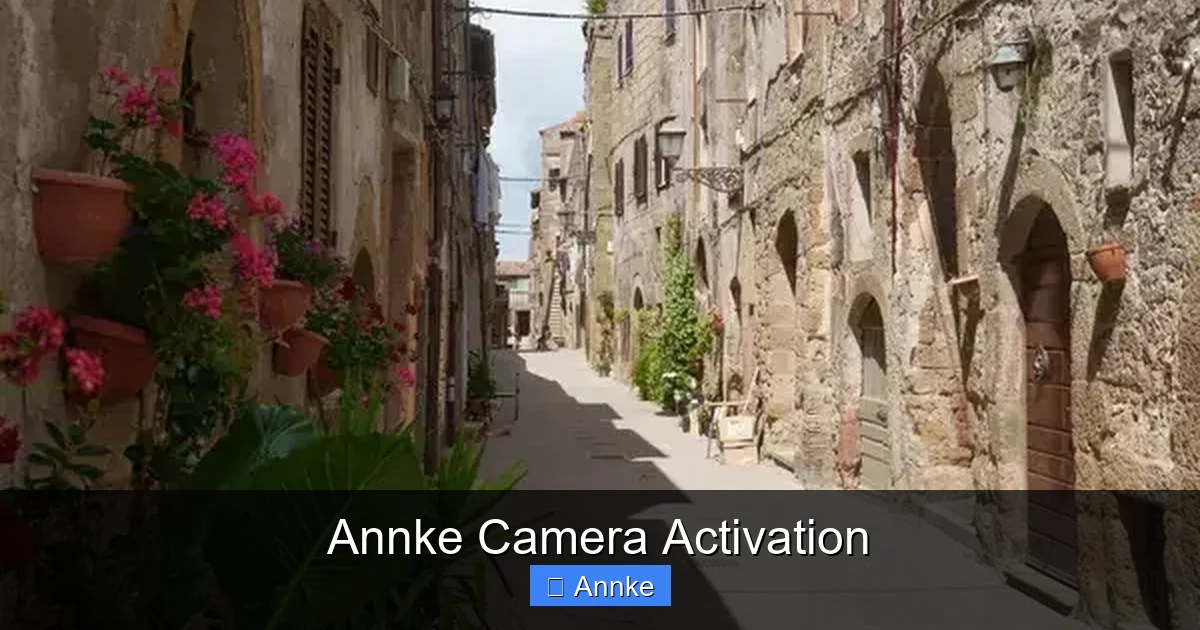 Annke Camera Activation