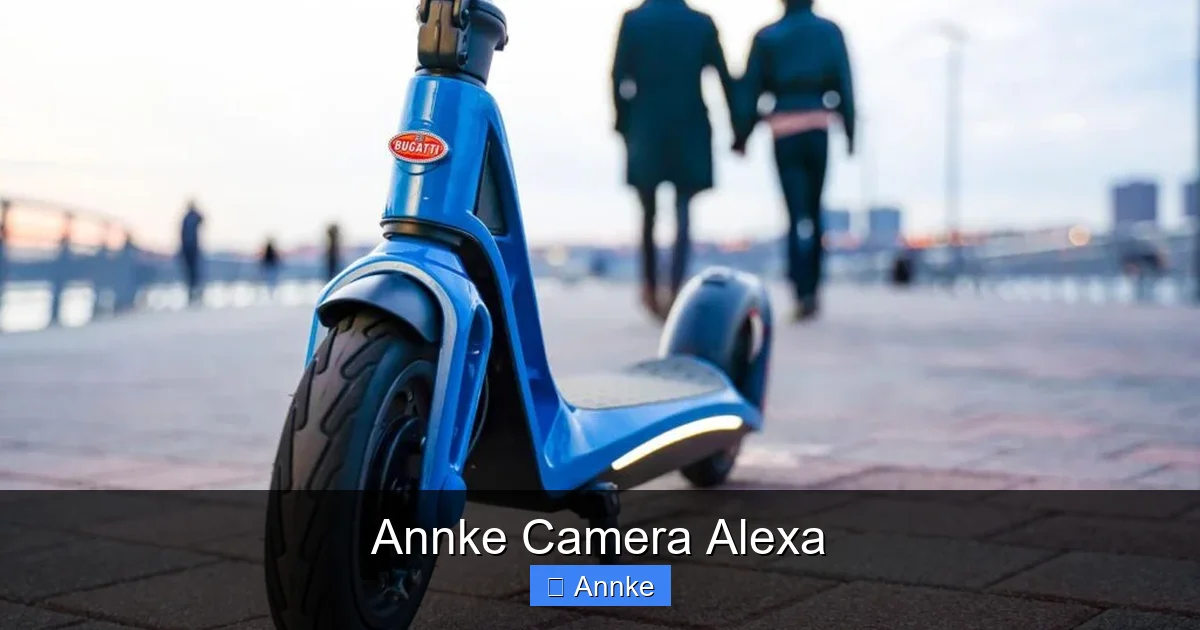 Annke Camera Alexa
