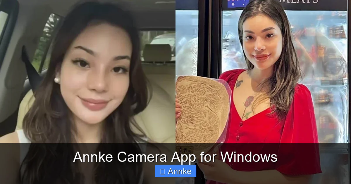 Annke Camera App for Windows