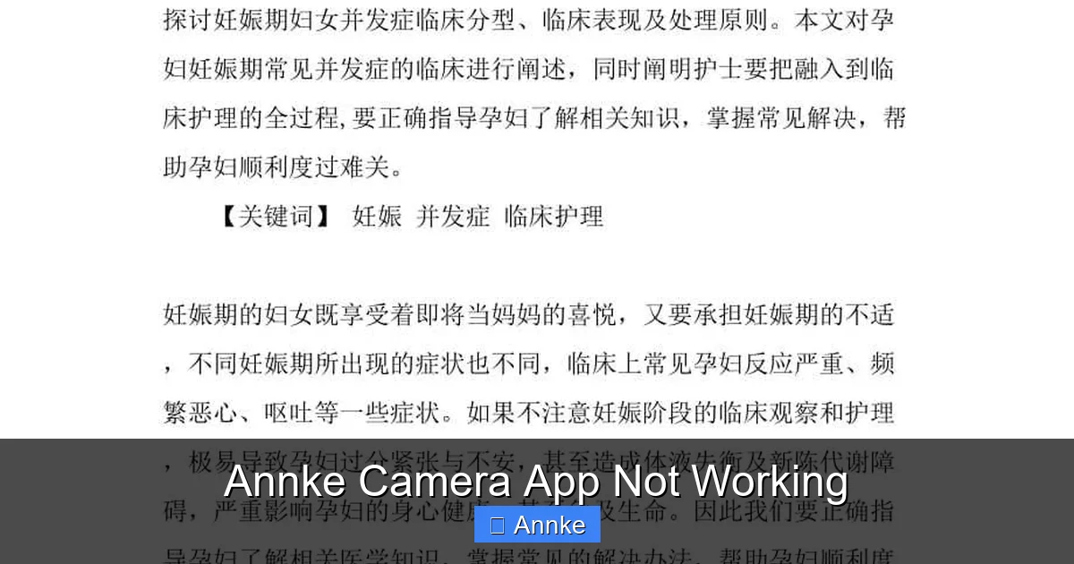 Annke Camera App Not Working