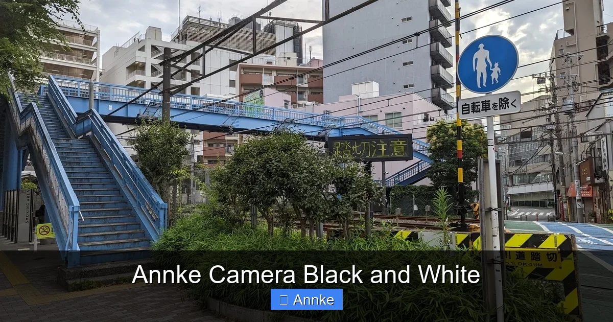 Annke Camera Black and White