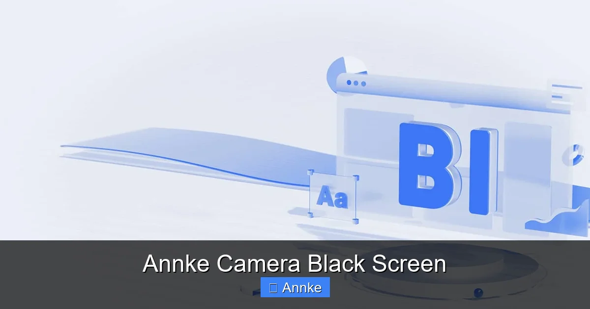Annke Camera Black Screen