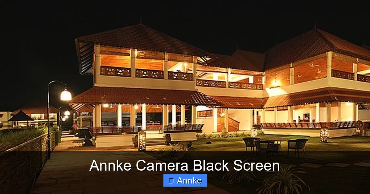 Annke Camera Black Screen