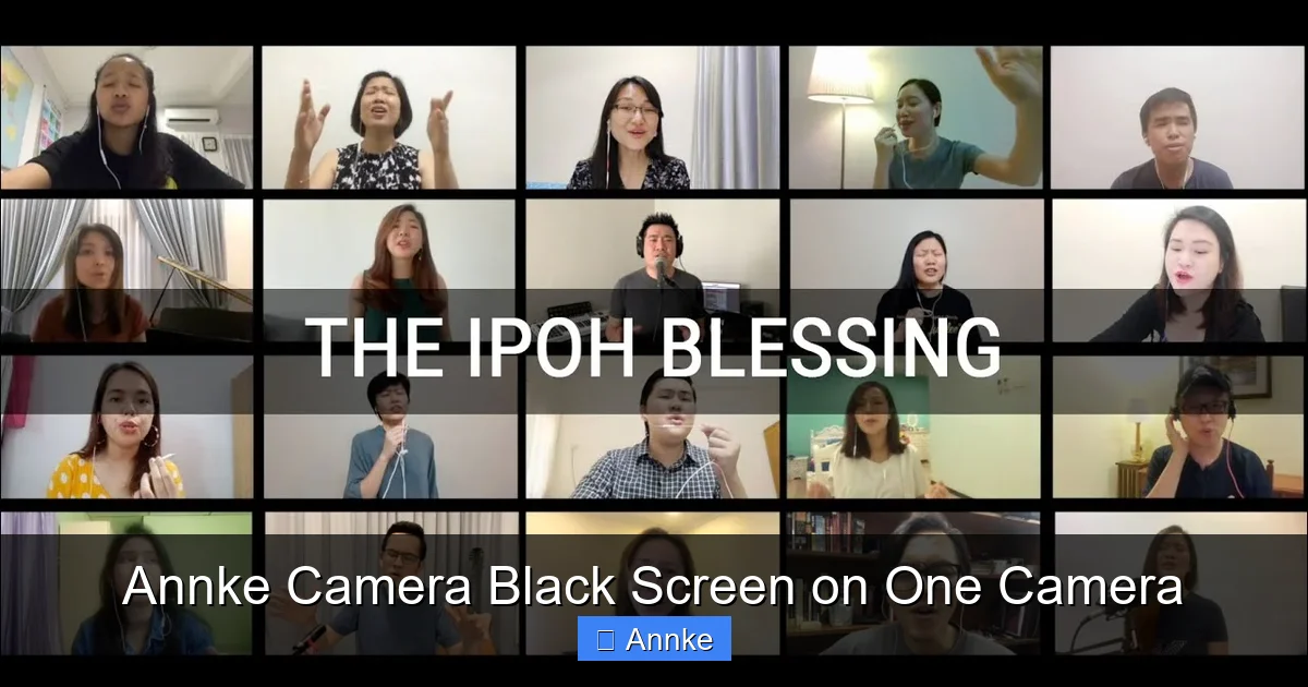 Annke Camera Black Screen on One Camera