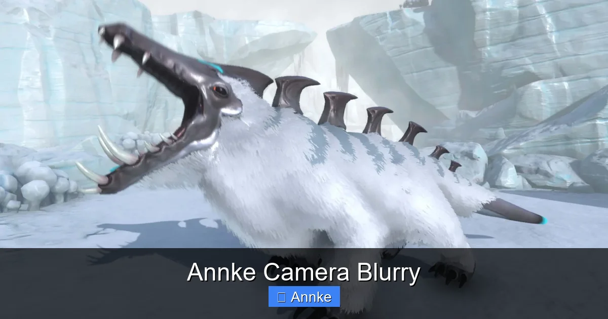 Annke Camera Blurry