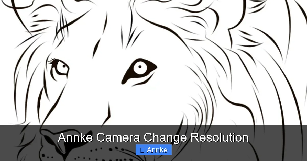 Annke Camera Change Resolution