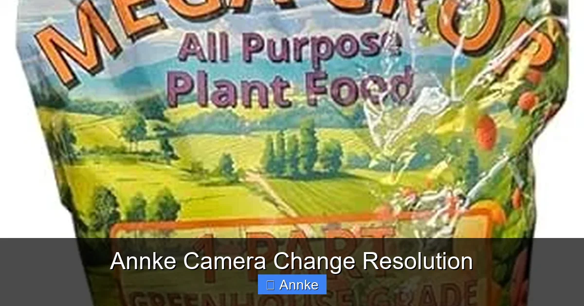 Annke Camera Change Resolution