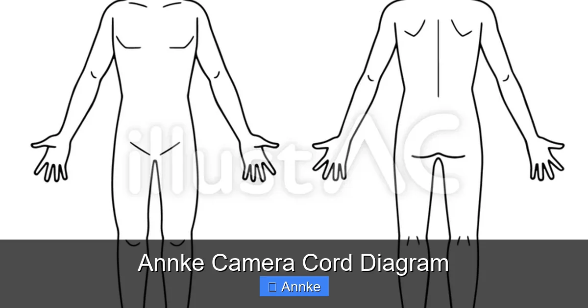 Annke Camera Cord Diagram