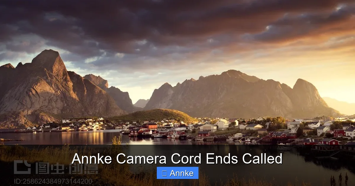 Annke Camera Cord Ends Called