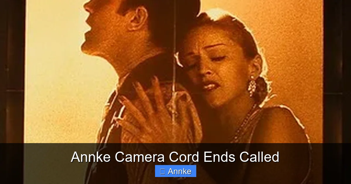 Annke Camera Cord Ends Called