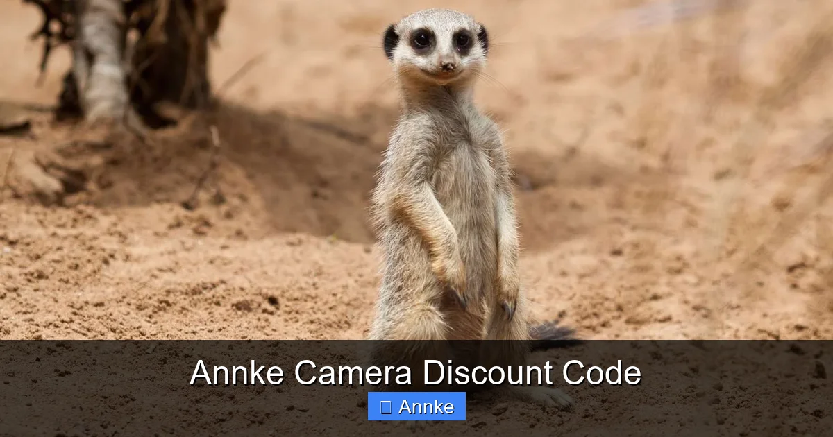 Annke Camera Discount Code