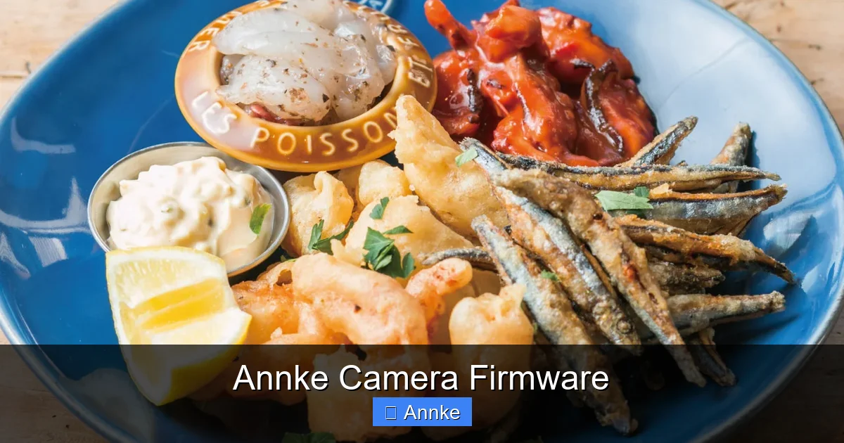 Annke Camera Firmware