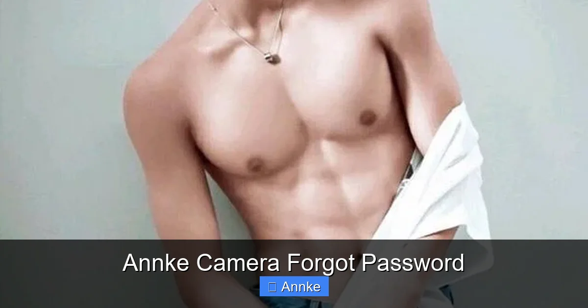 Annke Camera Forgot Password