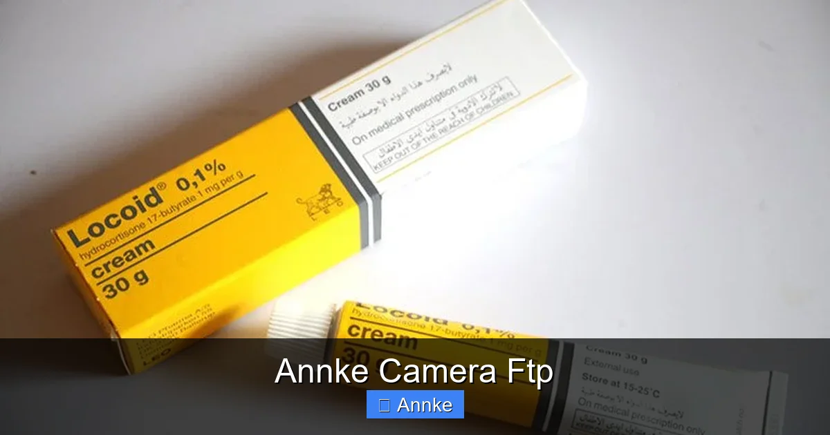 Annke Camera Ftp