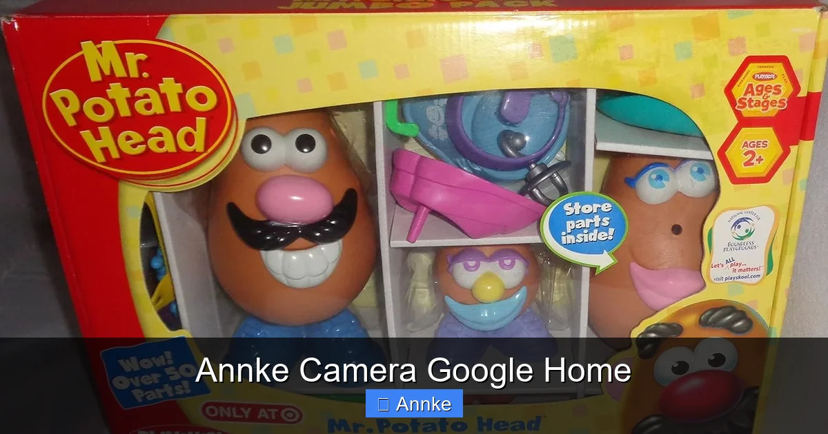 Annke Camera Google Home