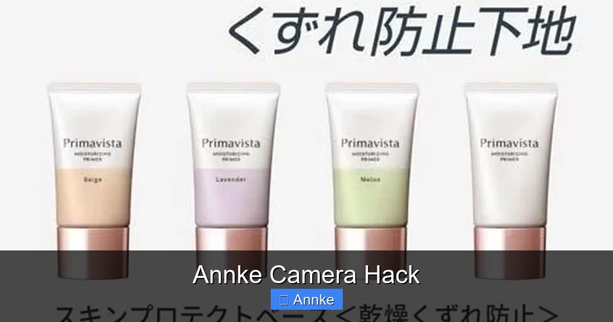 Annke Camera Hack