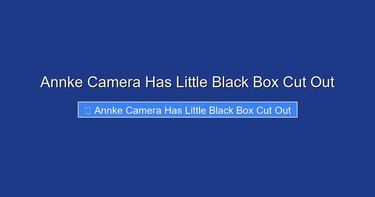 Annke Camera Has Little Black Box Cut Out