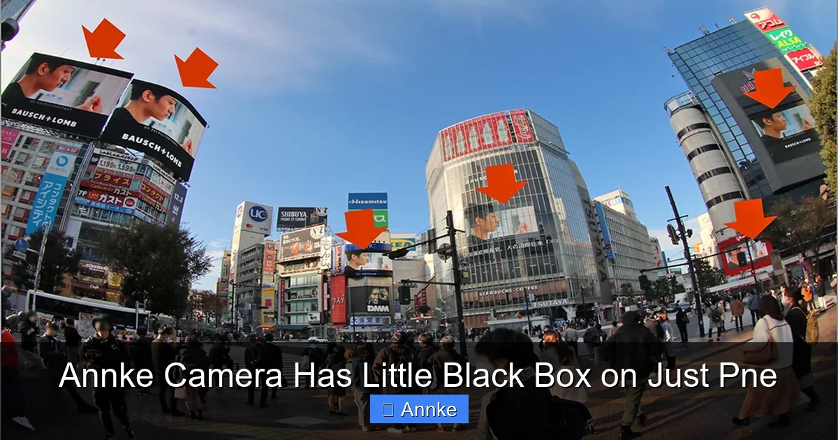 Annke Camera Has Little Black Box on Just Pne