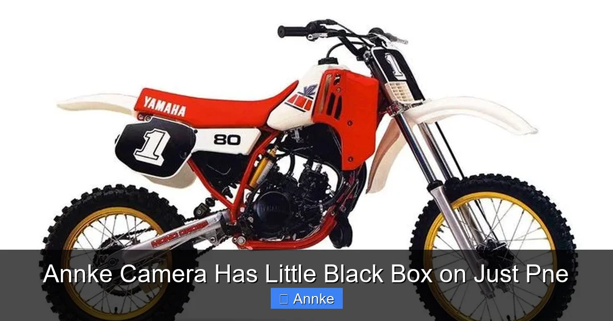 Annke Camera Has Little Black Box on Just Pne