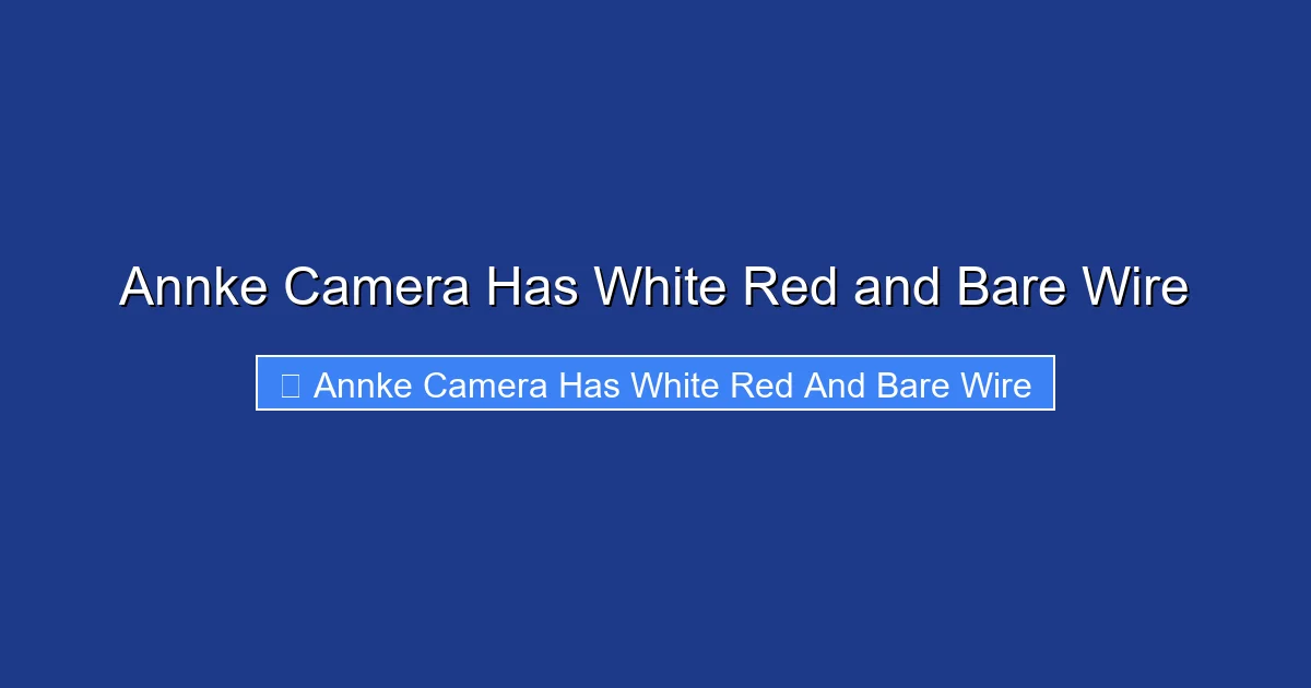 Annke Camera Has White Red and Bare Wire