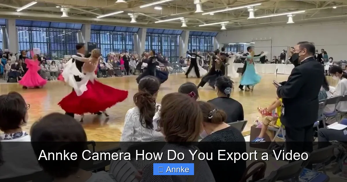 Annke Camera How Do You Export a Video