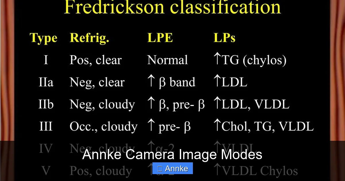 Annke Camera Image Modes