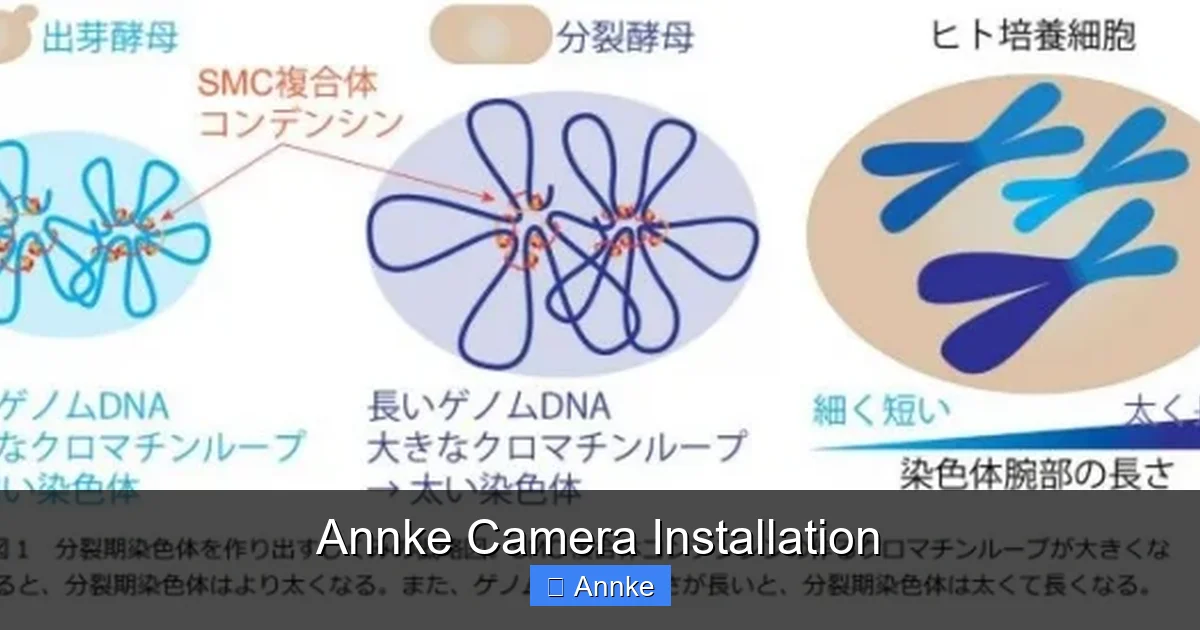 Annke Camera Installation