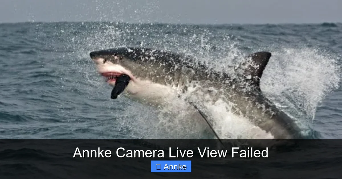 Annke Camera Live View Failed