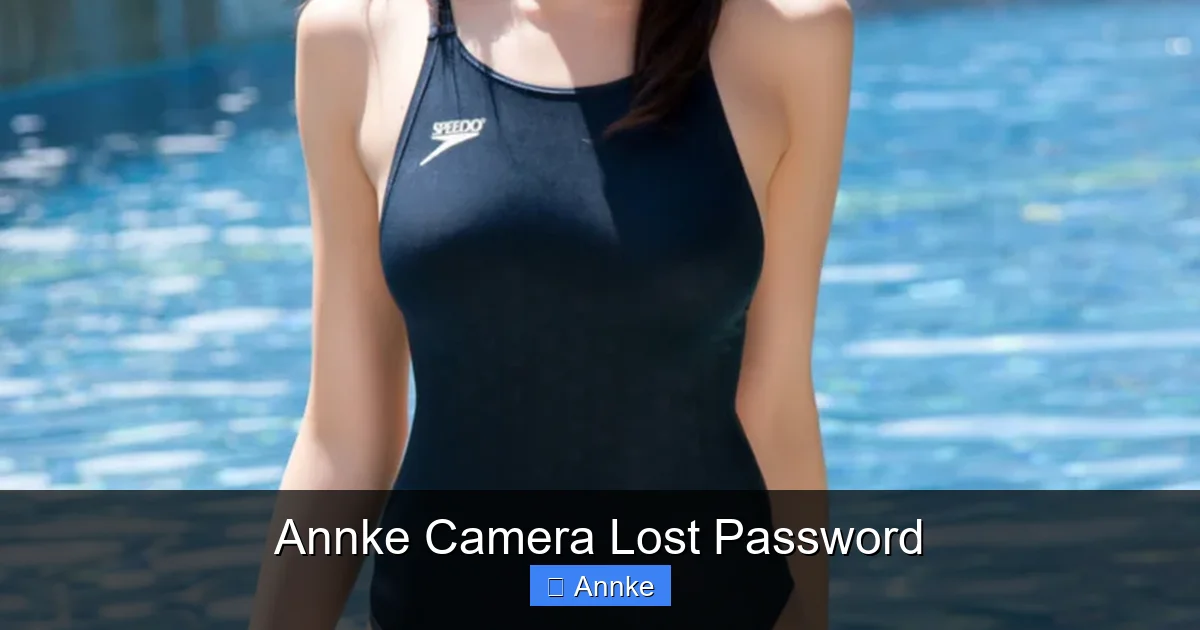 Annke Camera Lost Password