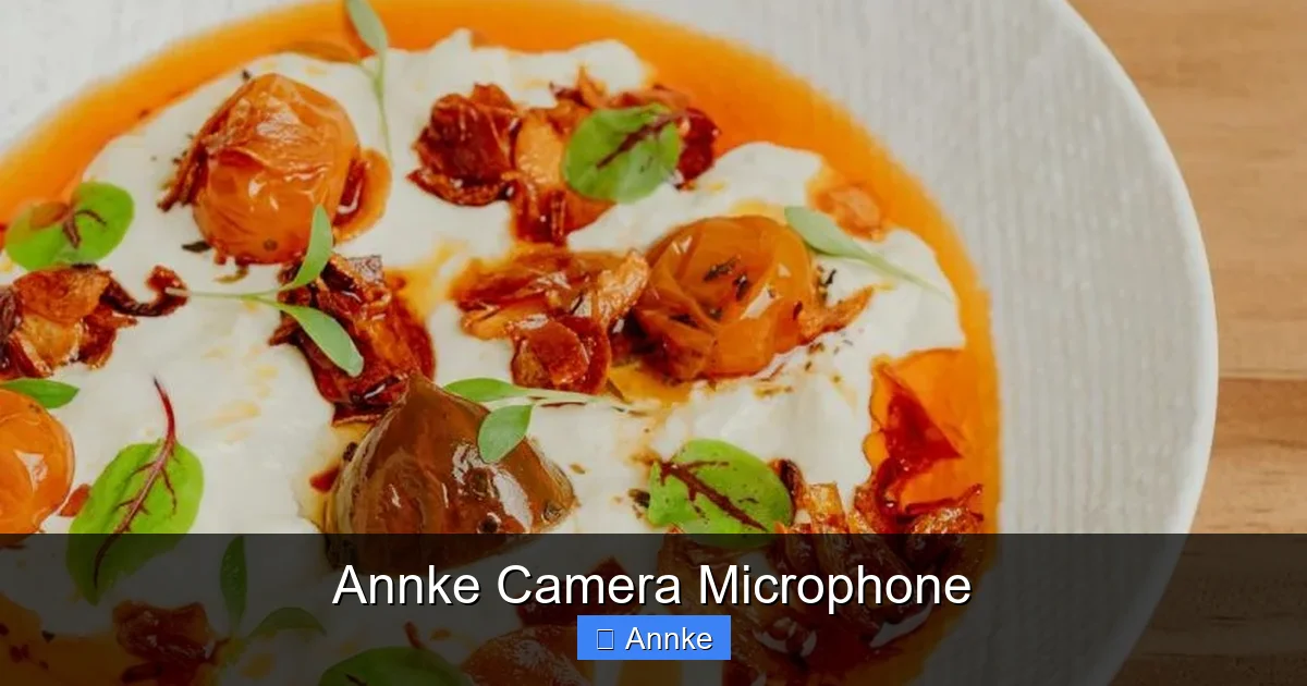 Annke Camera Microphone