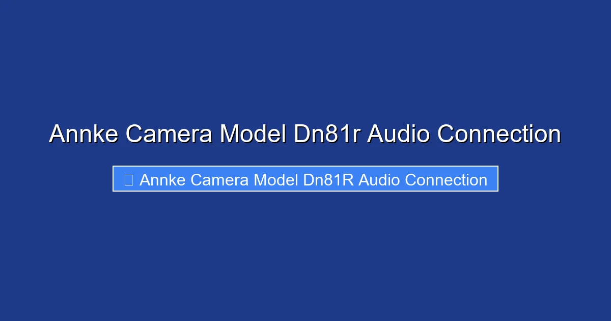 Annke Camera Model Dn81r Audio Connection
