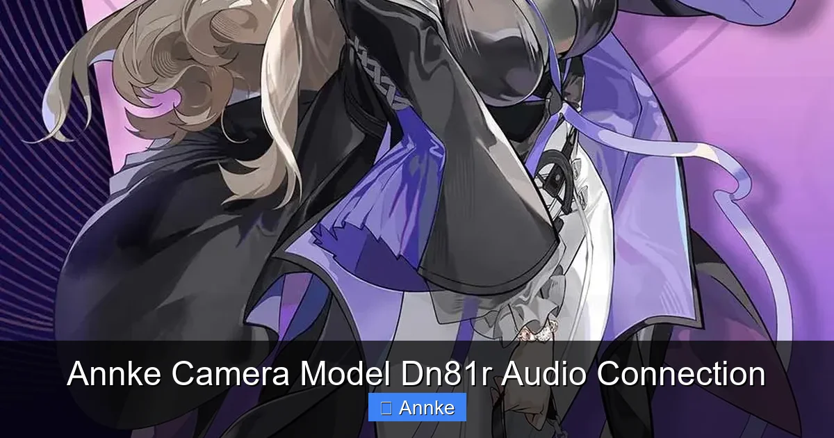 Annke Camera Model Dn81r Audio Connection