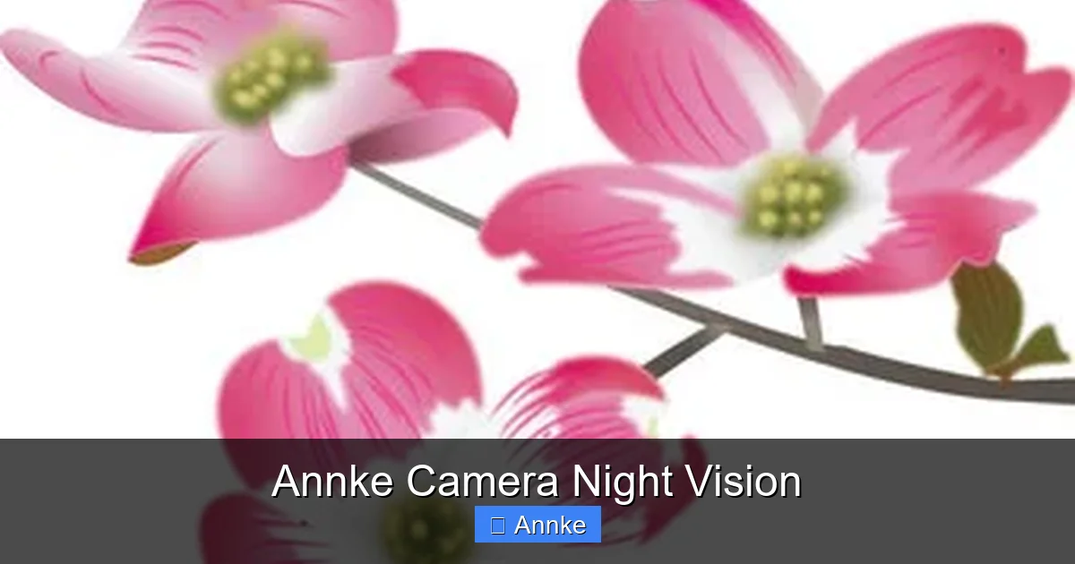Annke Camera Night Vision