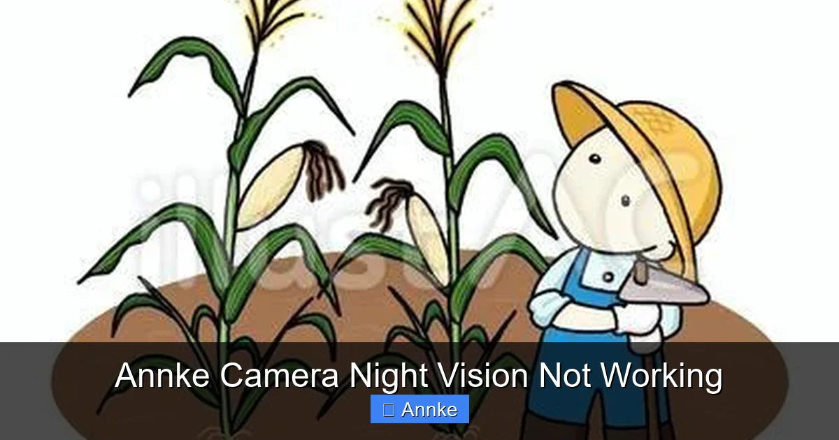 Annke Camera Night Vision Not Working