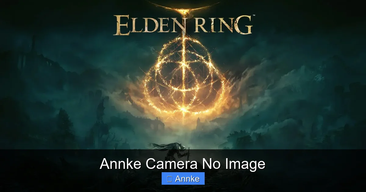 Annke Camera No Image