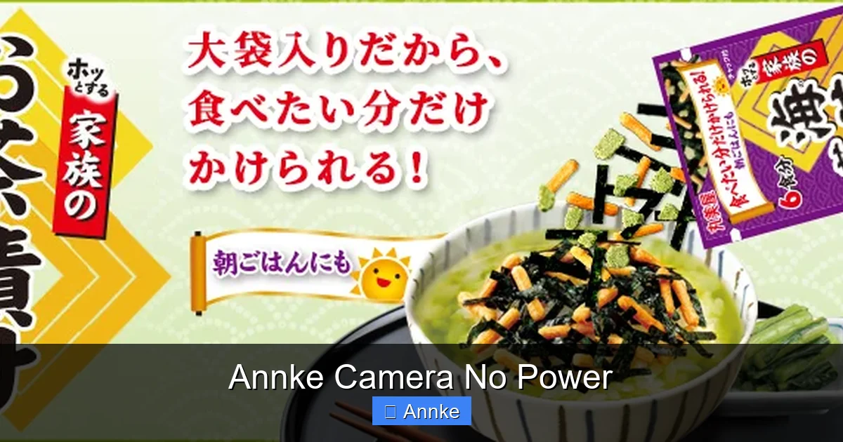 Annke Camera No Power