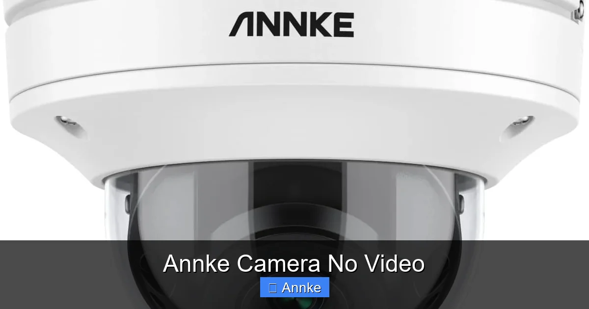 Annke Camera No Video
