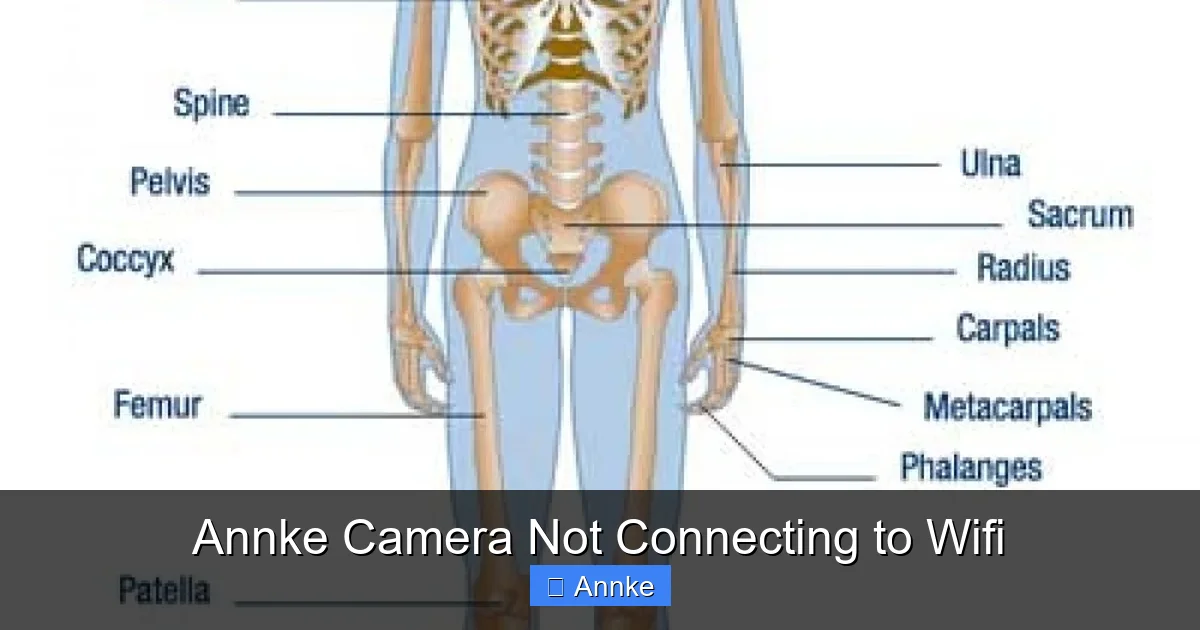 Annke Camera Not Connecting to Wifi