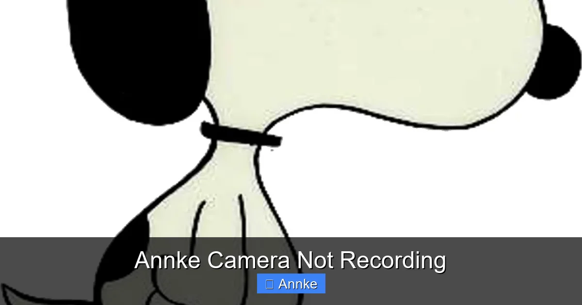 Annke Camera Not Recording