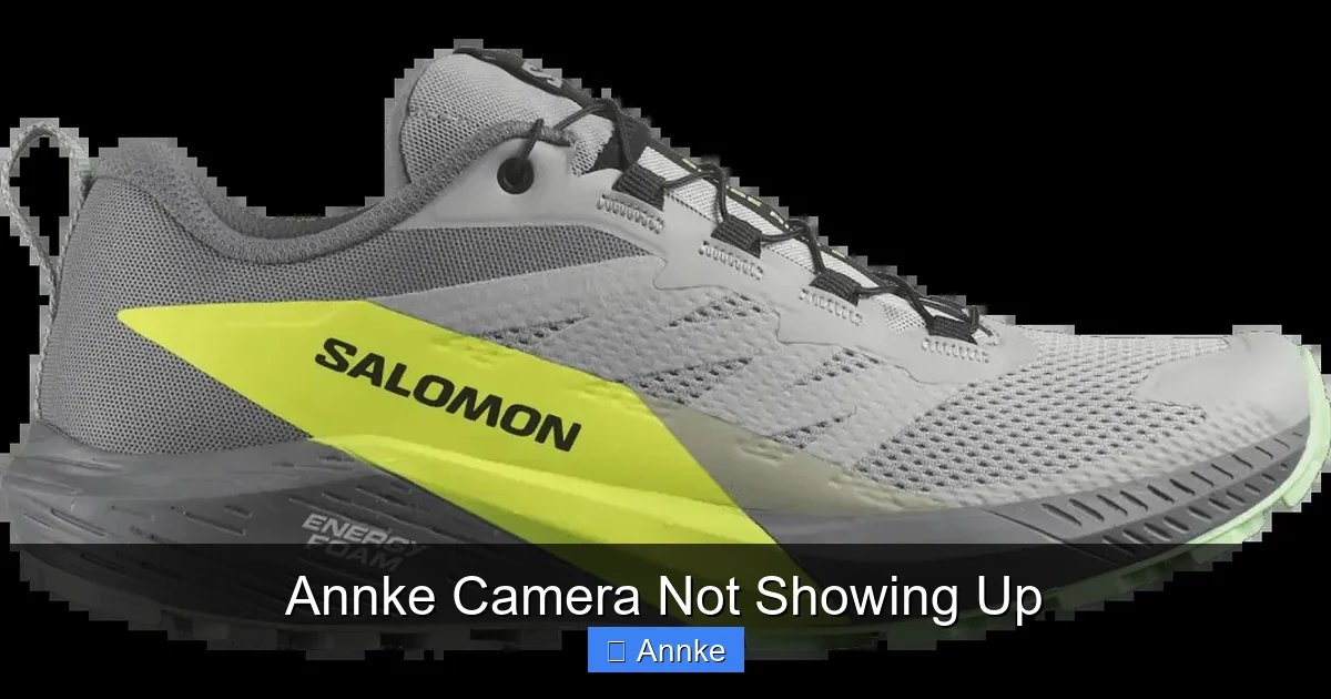 Annke Camera Not Showing Up