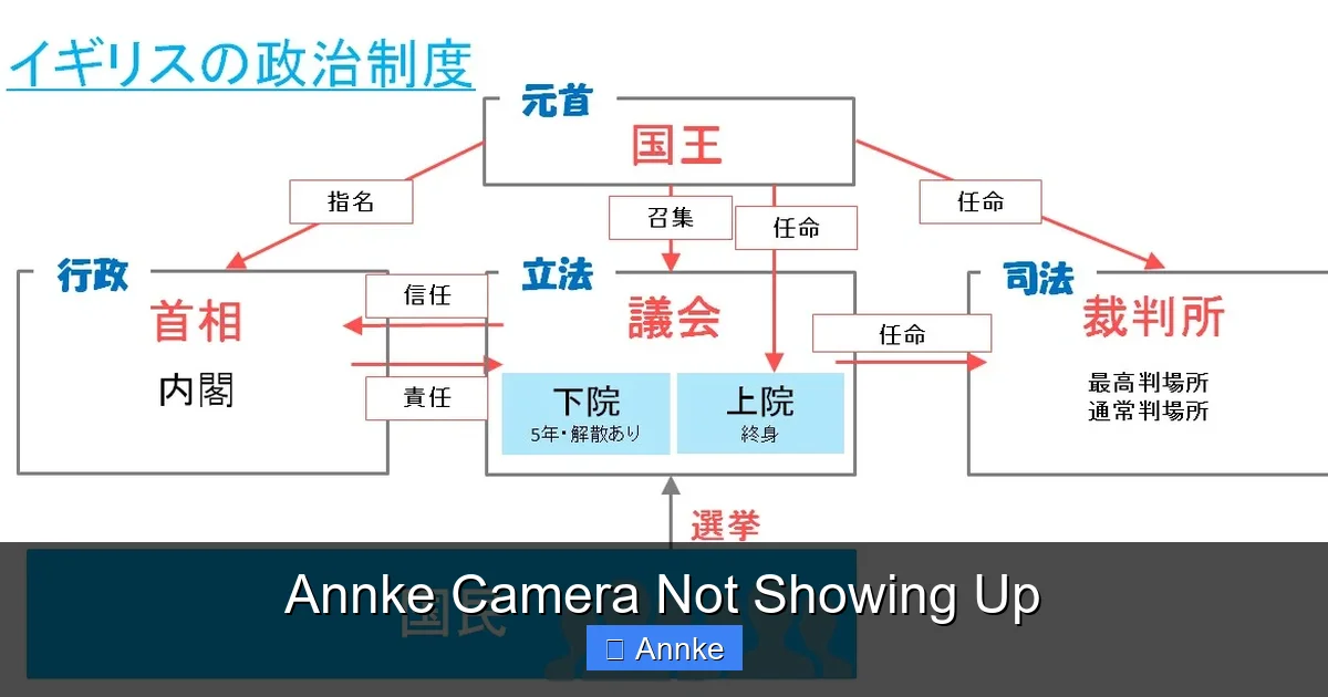 Annke Camera Not Showing Up